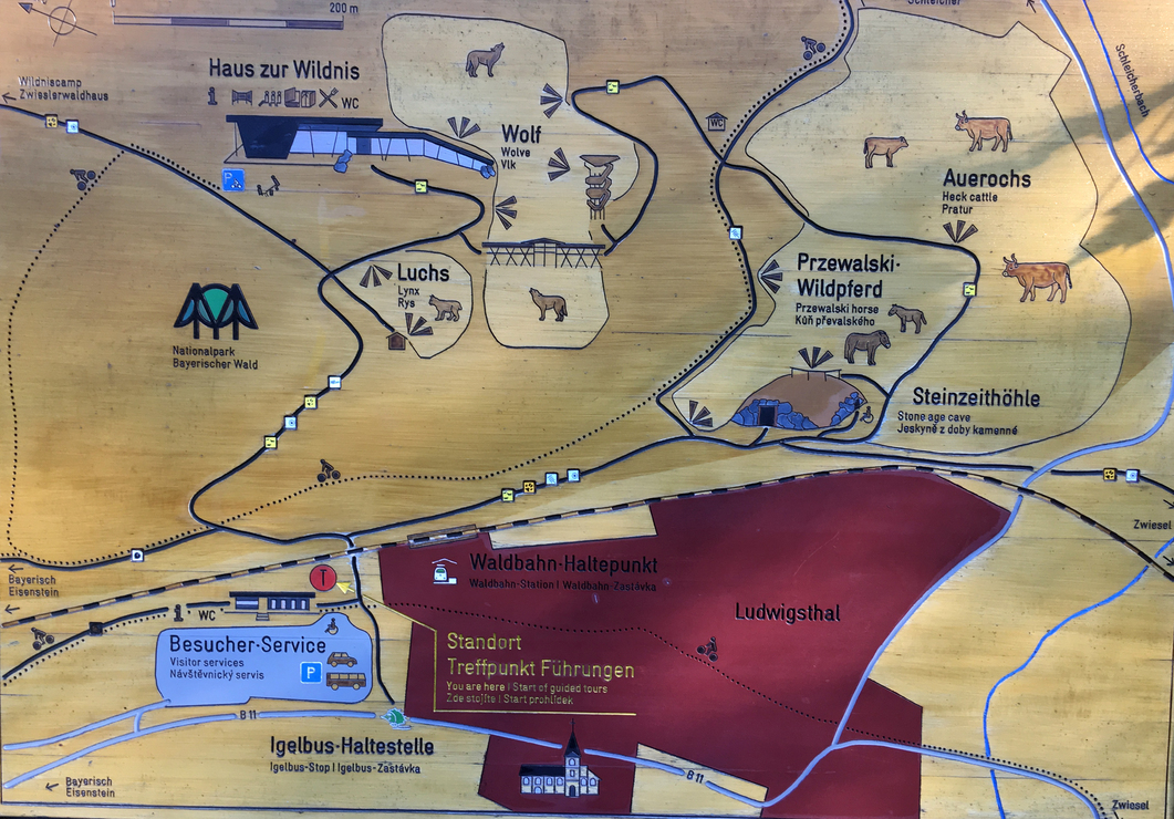 Besucherpark Am Falkenstein Gesperrt Nachrichten Burgerblick