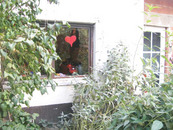 bild_klein_0000004368.jpg