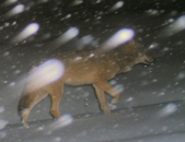 bild_klein_0000005773.jpg
