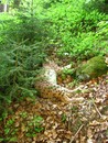 bild_klein_0000007010.jpg