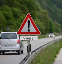 bild_klein_0000007021.jpg