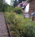 bild_klein_0000005151.jpg