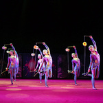 bild_klein_0000005604.jpg