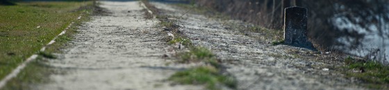 bild_klein_0000007556.jpg