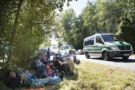 bild_klein_0000009275.jpg