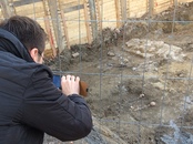 bild_klein_0000009854.jpg