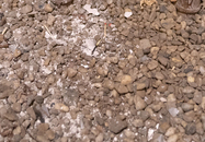 bild_klein_0000014475.jpg
