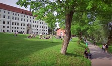 bild_klein_0000015590.jpg