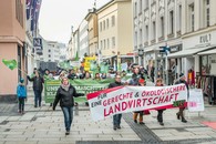 bild_klein_0000016387.jpg