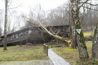 bild_klein_0000016423.jpg