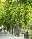 bild_klein_0000016504.jpg