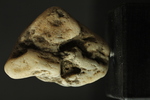 bild_klein_0000016983.jpg
