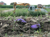 bild_klein_0000017081.jpg