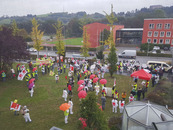 bild_klein_0000017288.jpg
