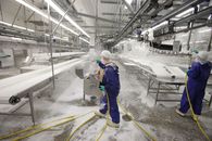 bild_klein_0000017414.jpg