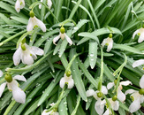 bild_klein_0000018325.jpg