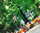 bild_klein_0000018757.jpg