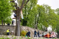 bild_klein_0000018767.jpg