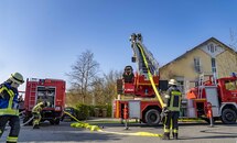 bild_klein_0000020104.jpg