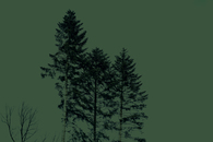 bild_klein_0000021218.jpg