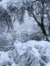 bild_klein_0000021746.jpg