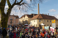 bild_klein_0000021906.jpg