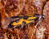 bild_klein_0000022537.jpg
