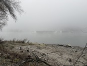 bild_klein_0000023020.jpg