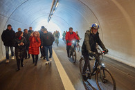 bild_klein_0000023074.jpg