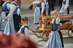 bild_klein_0000023725.jpg