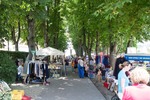 bild_klein_0000023747.jpg