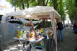 bild_klein_0000023749.jpg