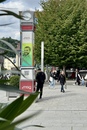 bild_klein_0000024047.jpg