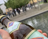 bild_klein_0000024091.jpg