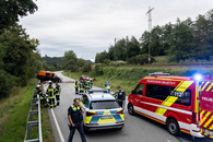 bild_klein_0000024274.jpg