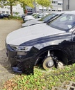 bild_klein_0000024290.jpg