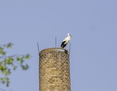 bild_klein_0000025383.jpg