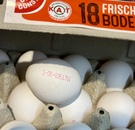 bild_klein_0000025384.jpg