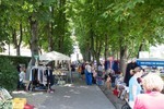 bild_klein_0000025389.jpg