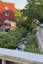 bild_klein_0000025419.jpg