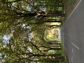 bild_klein_0000025519.jpg
