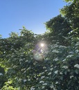 bild_klein_0000025599.jpg