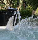 bild_klein_0000025600.jpg