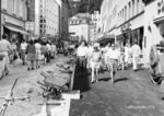 bild_klein_0000025701.jpg