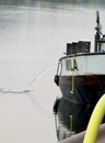 bild_klein_0000025734.jpg