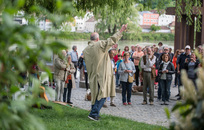 bild_klein_0000025840.jpg