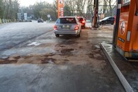bild_klein_20012.jpg