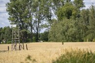 bild_klein_20328.jpg