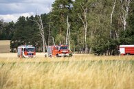 bild_klein_20329.jpg