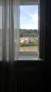 bild_klein_20375.jpg